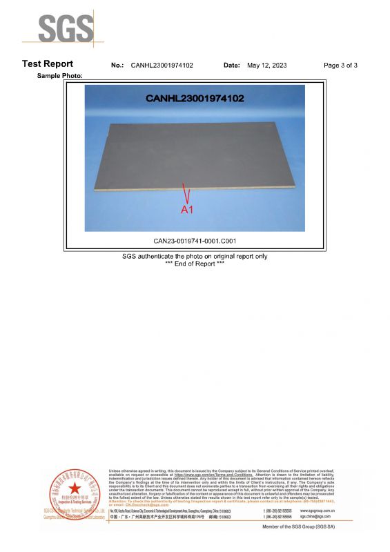 2023SGSmg冰球突破家居检测汇报英文版